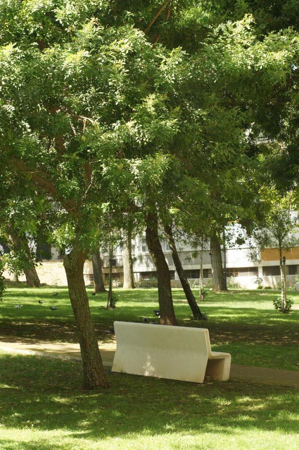 Lisboa Central Apartment Экстерьер фото